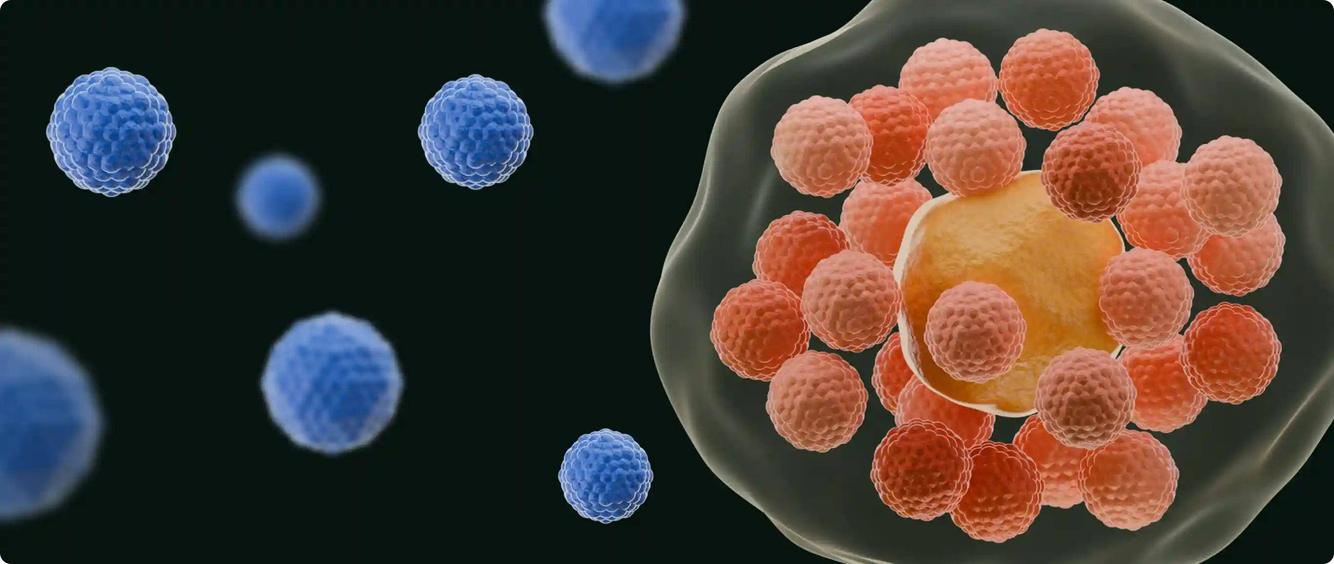 Информация о Chlamydia trachomatis