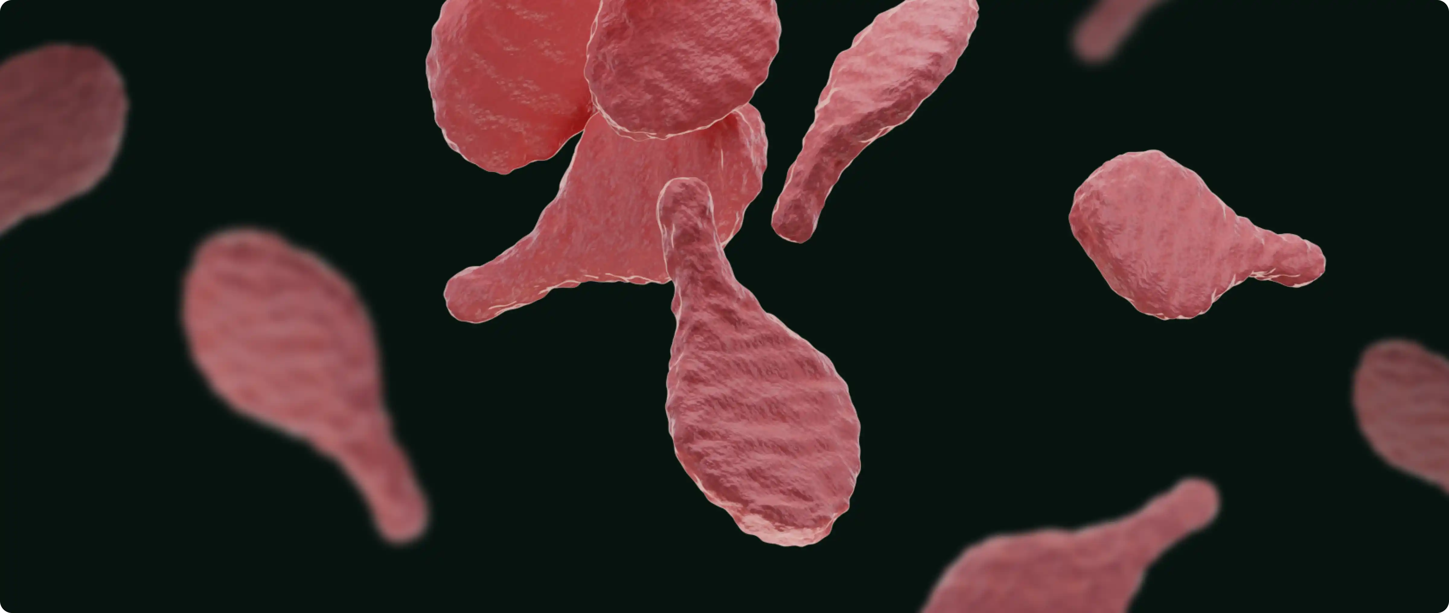 Информация о Mycoplasma genitalium