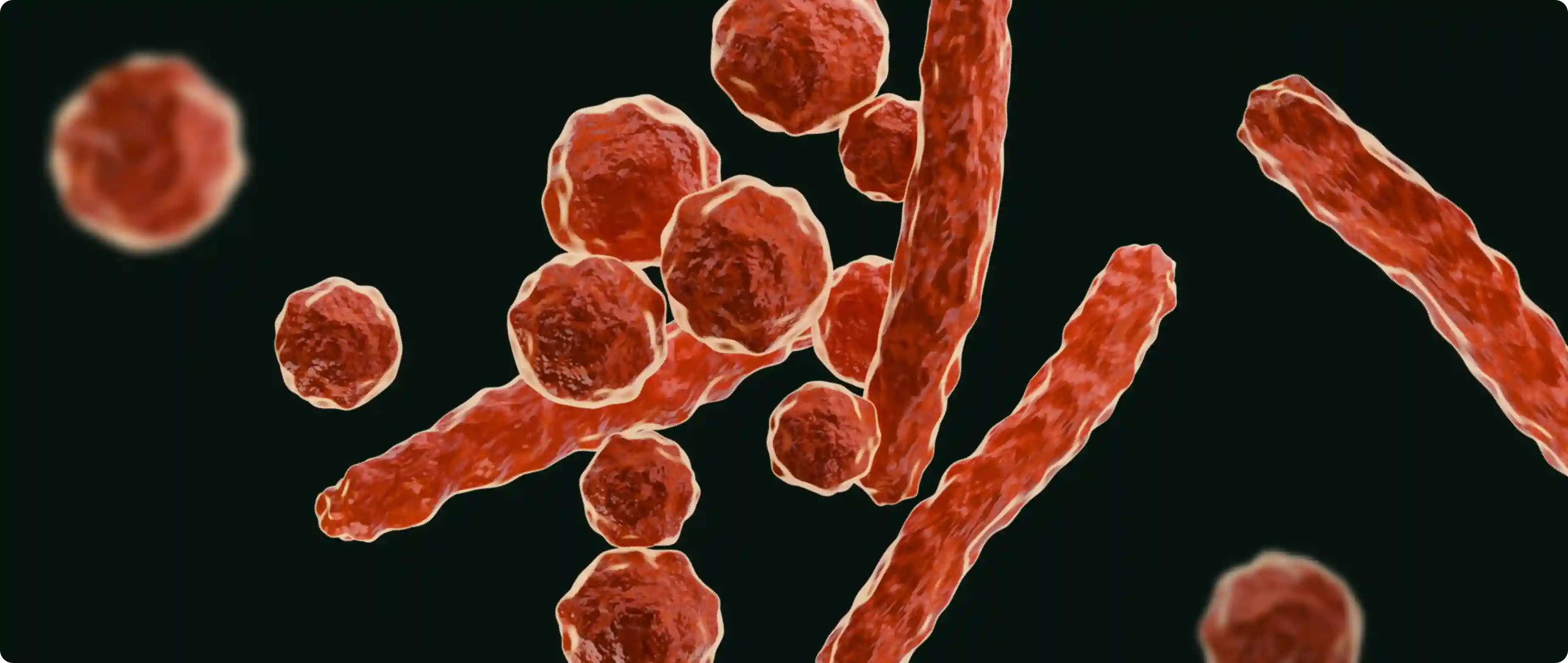 Информация о Mycoplasma hominis