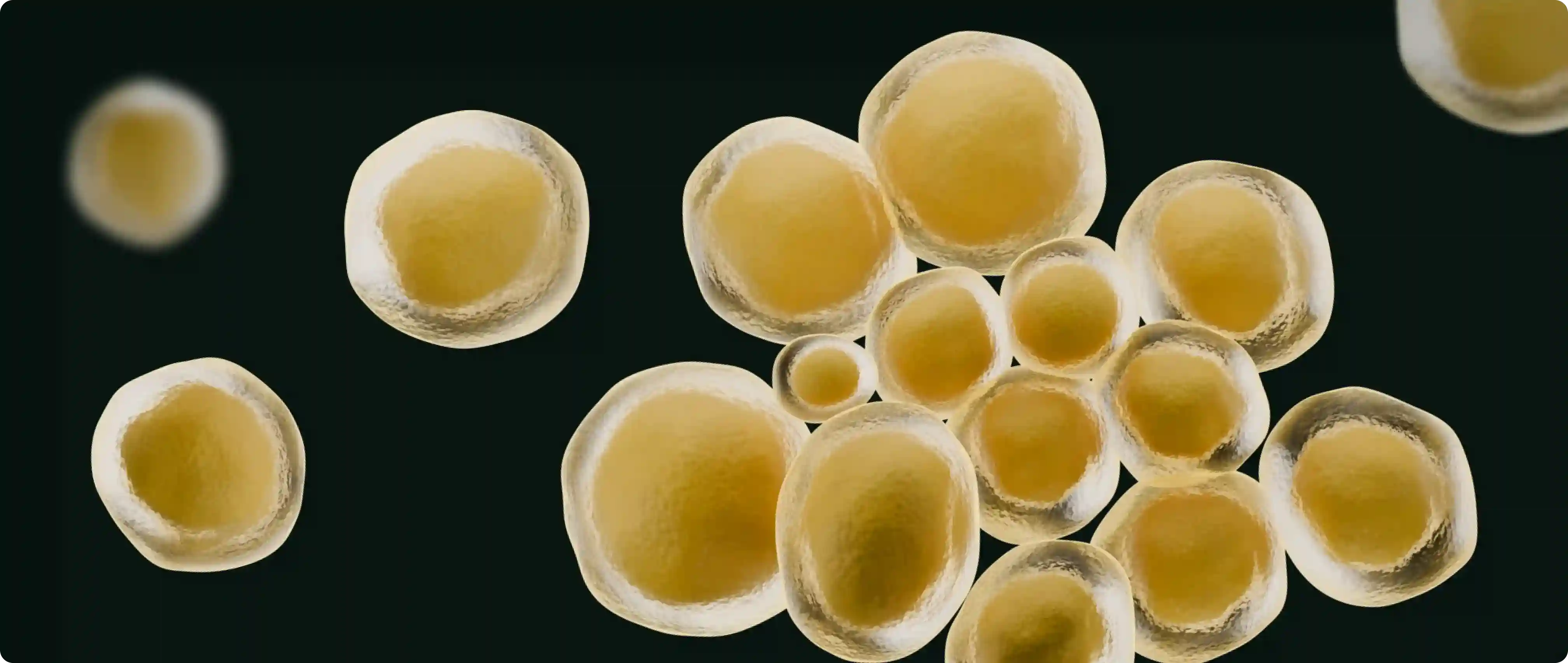 Информация о Ureaplasma urealyticum
